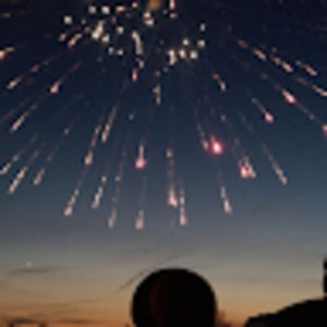 Meet your Posher, Tonia